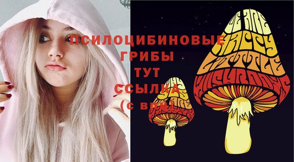 сатива Абаза