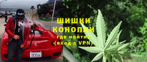 сатива Абаза