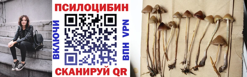 Псилоцибиновые грибы GOLDEN TEACHER  Уфа 