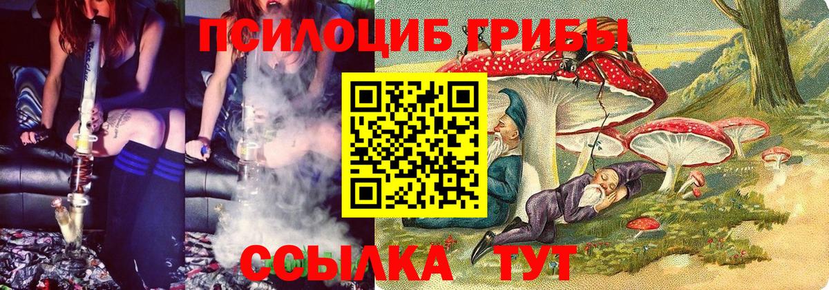 Галлюциногенные грибы GOLDEN TEACHER Уфа