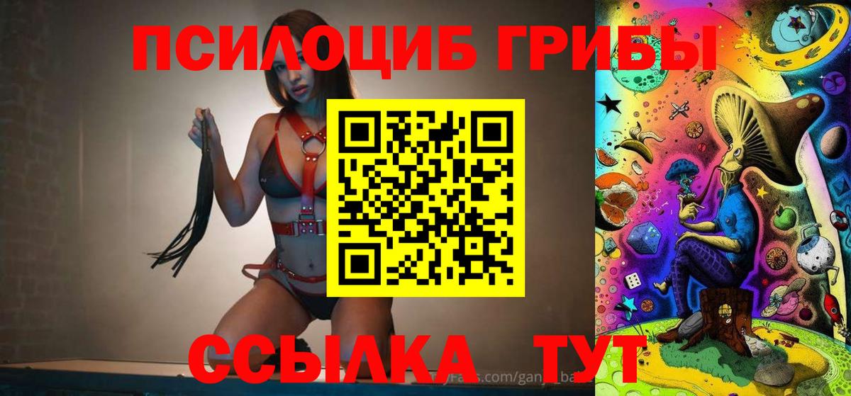 Псилоцибиновые грибы Cubensis  Вход с VPN  Уфа 